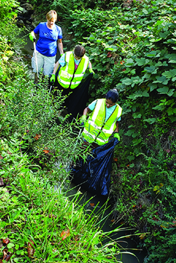 Creek cleanup event follow-up