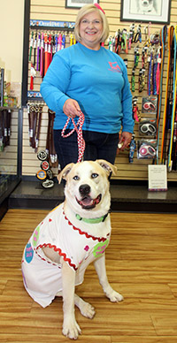 Dog Show Fundraiser featured pets for adoption