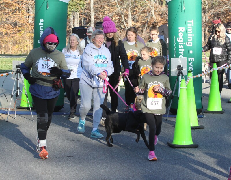 The start of the Hounds of Hanna 5 K.  The first Hounds of Hanna K and Fun run event was held at Hanna Park on Saturday, November 19th. 