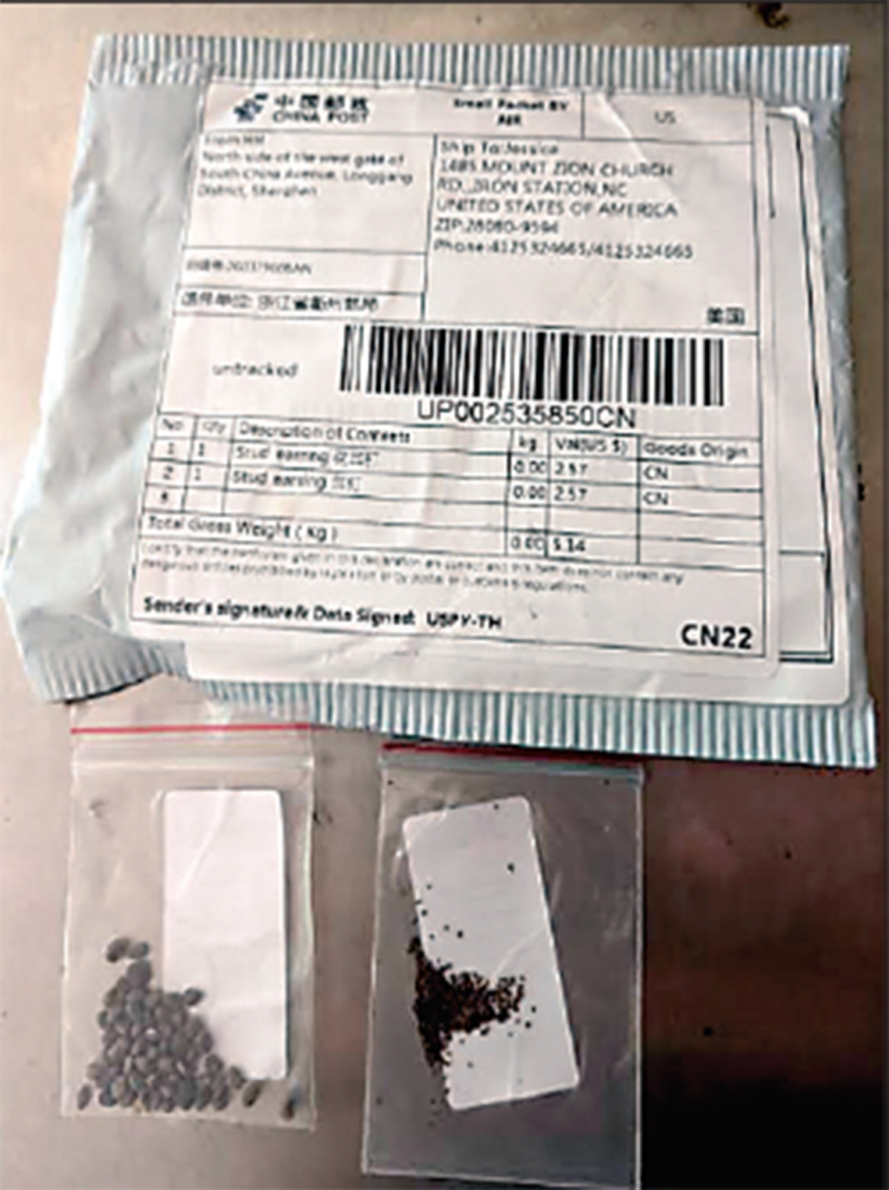 Mysterious, potentially dangerous seeds arriving by surprise mail