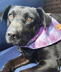 Meet star Beautiful sweet girl!